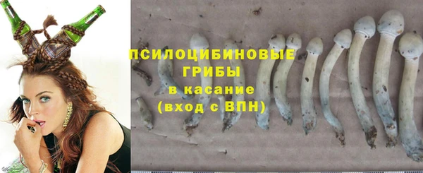 дурь Аркадак