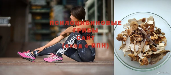дурь Аркадак
