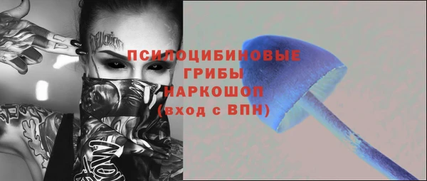 дурь Аркадак