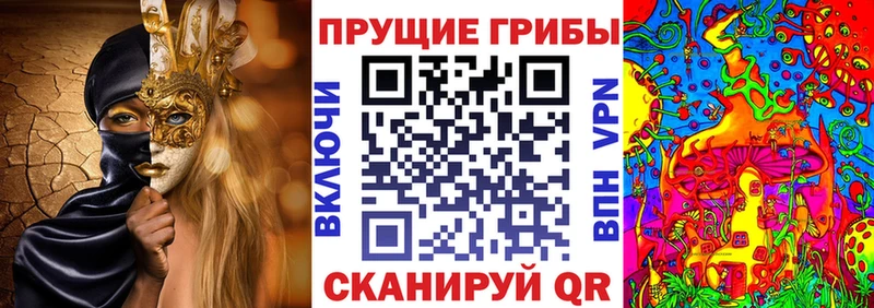 Галлюциногенные грибы мицелий  продажа наркотиков  Белозерск 